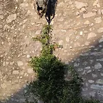 Domus Fontis Pescaia 게스트하우스 4*