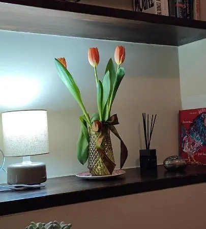 Domus Fontis Pescaia 4*