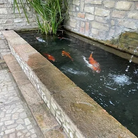 Domus Fontis Pescaia 4* スポレート