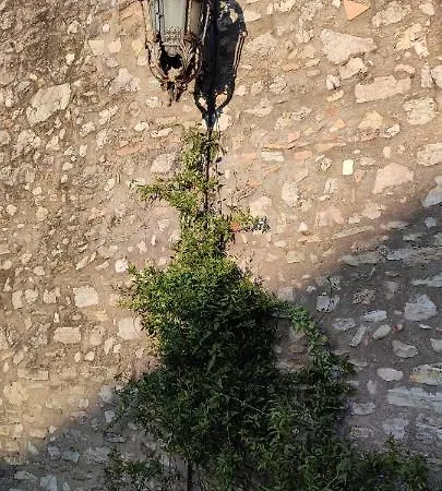 Domus Fontis Pescaia 게스트하우스 4*