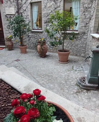 Domus Fontis Pescaia 招待所