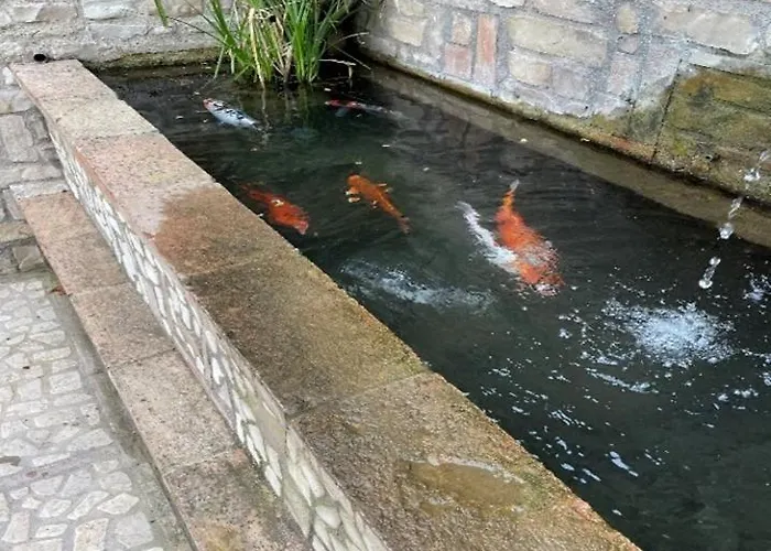 Domus Fontis Pescaia 4* 斯波莱托